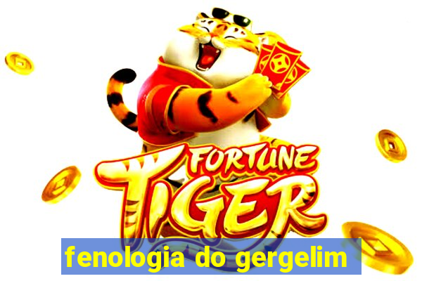 fenologia do gergelim